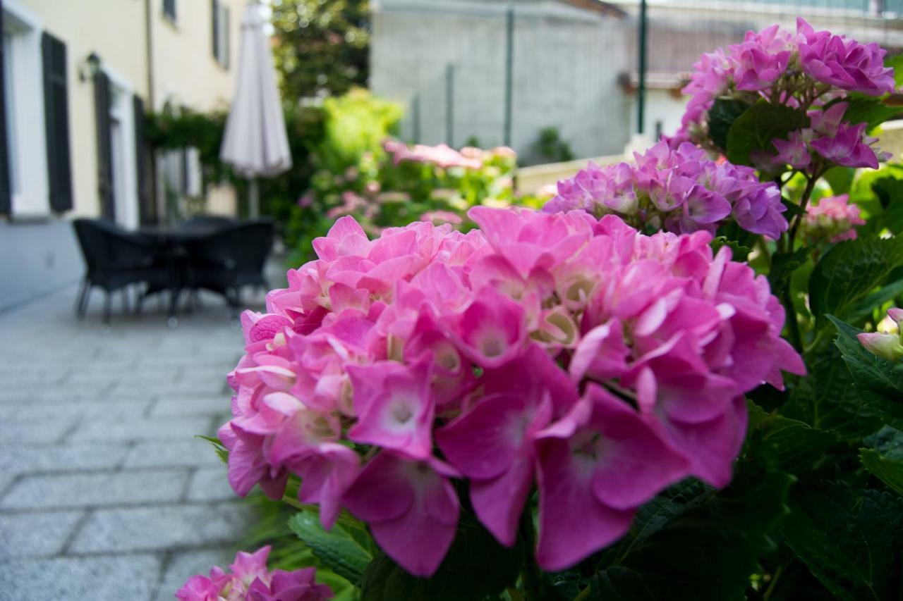 Giardino Delle Ortensie Канобио Екстериор снимка